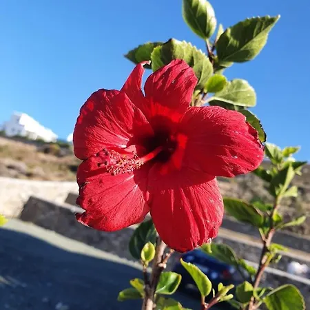 شقة فندقية Dolce Vista - Sea View