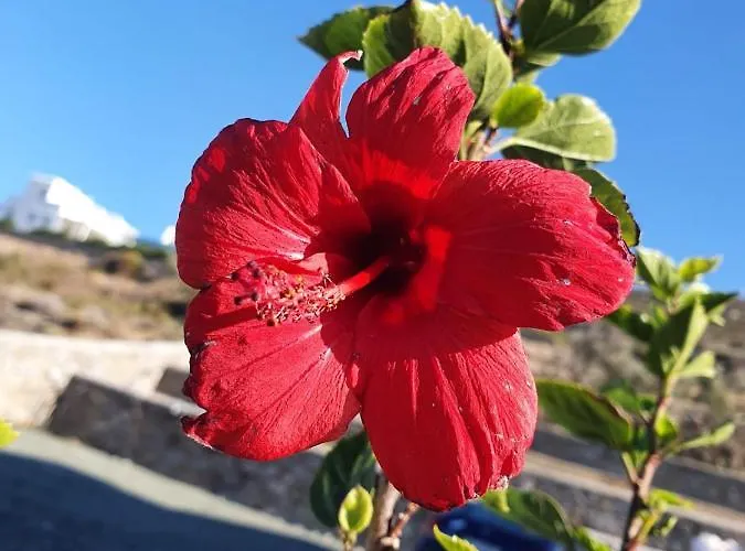 아파트호텔 Dolce Vista - Sea View